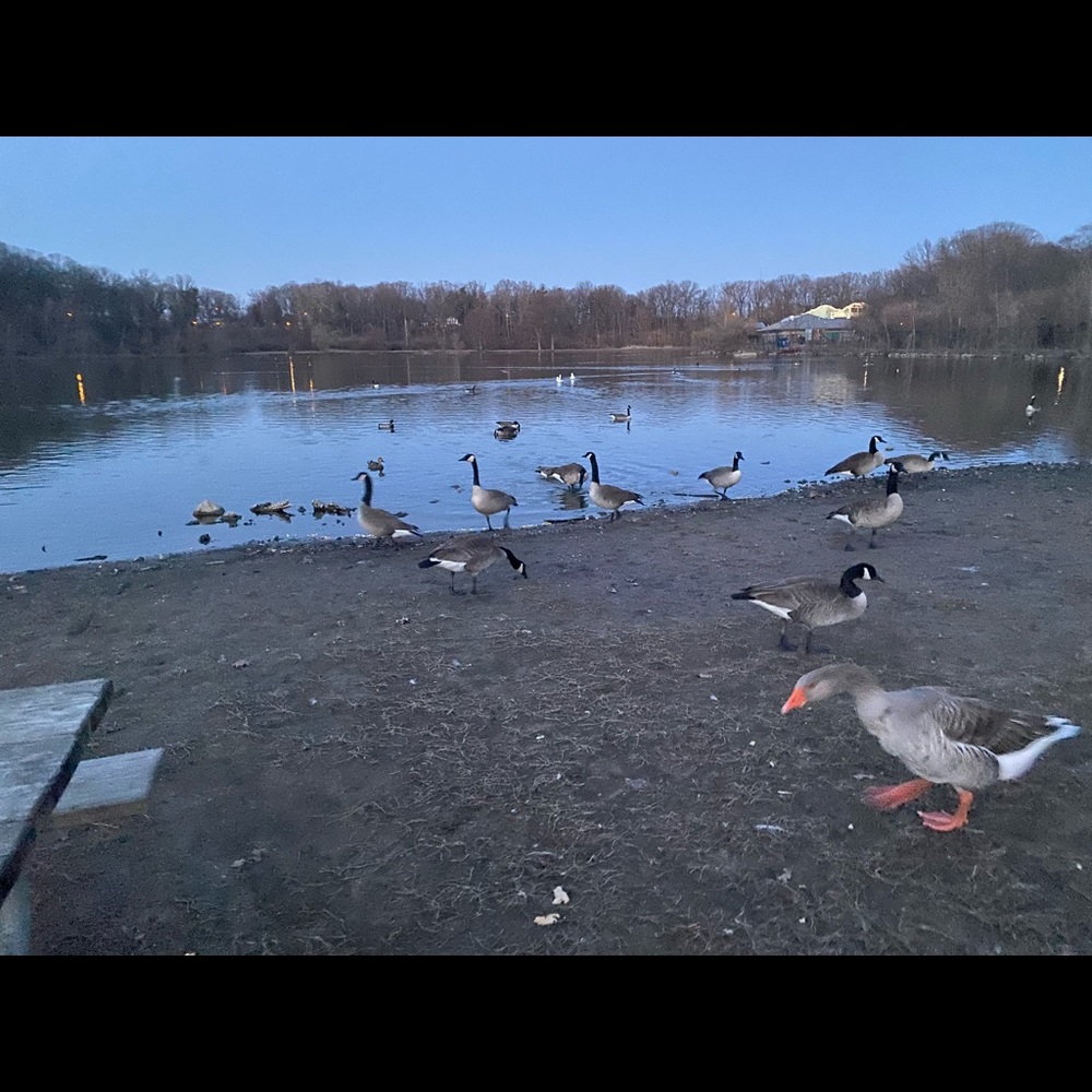 Meet your Posher, Nohemi